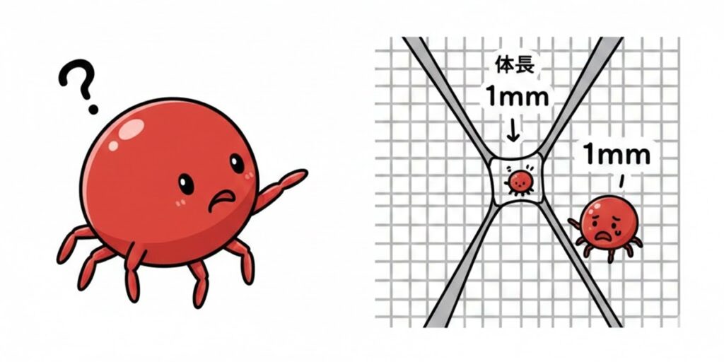 カベアナタカラダニが網戸の網目を通り抜ける様子を解説したイラスト。体長1mmのダニとメッシュのサイズ比較。