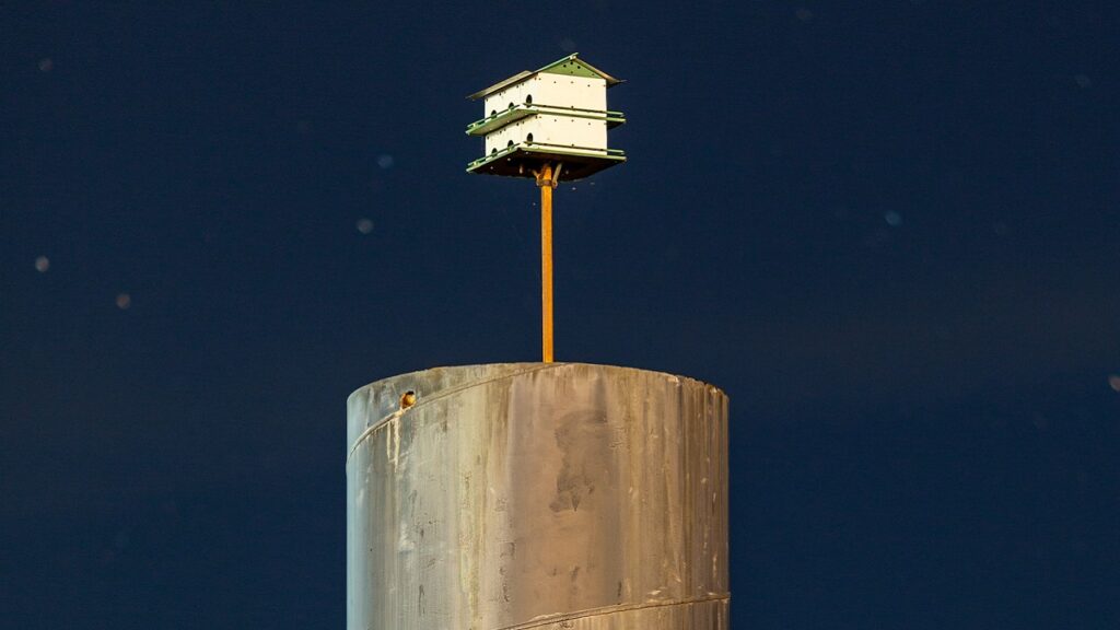 空に向かって伸びる巨大なシリンダー状の構造物と、その先に設置された白い鳥小屋の風景